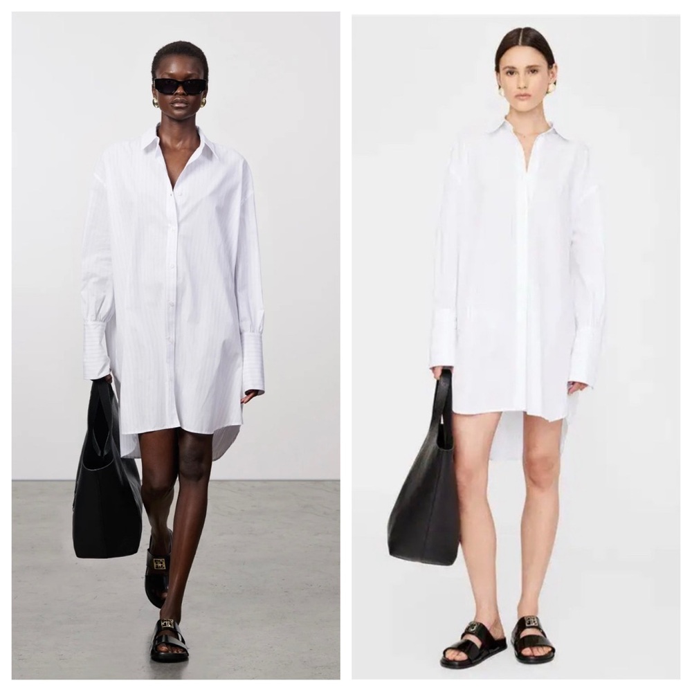 Anine Bing Lake Striped Shirt Dress; Oversized Minimalist Parisian Button-Down